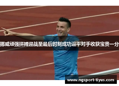 挪威顽强拼搏迎战至最后时刻成功逼平对手收获宝贵一分