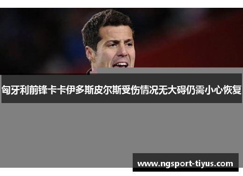匈牙利前锋卡卡伊多斯皮尔斯受伤情况无大碍仍需小心恢复