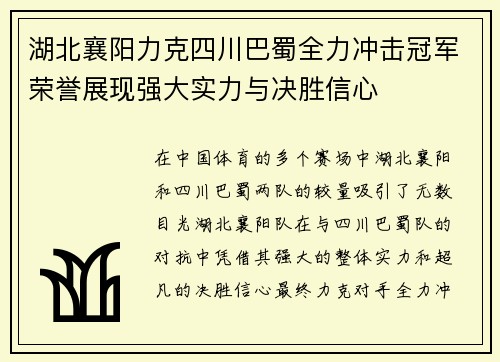 湖北襄阳力克四川巴蜀全力冲击冠军荣誉展现强大实力与决胜信心