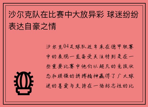 沙尔克队在比赛中大放异彩 球迷纷纷表达自豪之情
