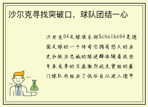 沙尔克寻找突破口，球队团结一心