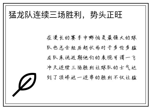 猛龙队连续三场胜利，势头正旺