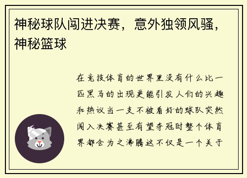神秘球队闯进决赛，意外独领风骚，神秘篮球